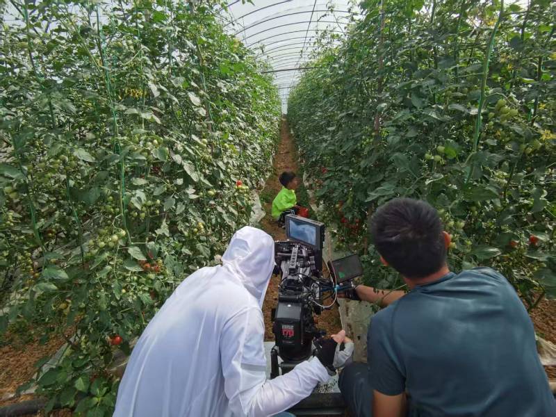 荆门产品宣传视频拍摄公司进阶指南，助力品牌抢占传播高地